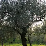 Farm Herbarium