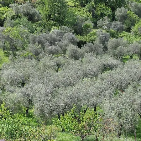 Farm Herbarium בית נופש *