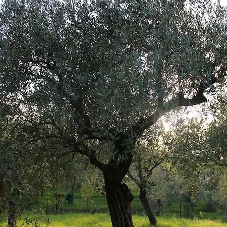 Farm Herbarium